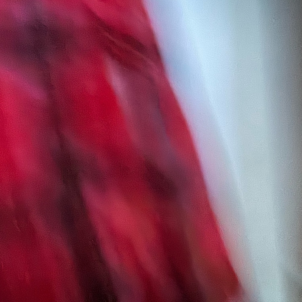Plaid Red Women's Coat - Picture 4 of 5